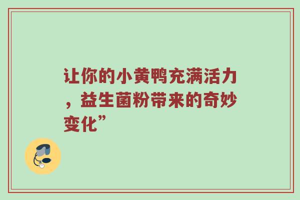 让你的小黄鸭充满活力，益生菌粉带来的奇妙变化”