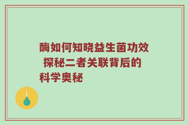 酶如何知晓益生菌功效 探秘二者关联背后的科学奥秘